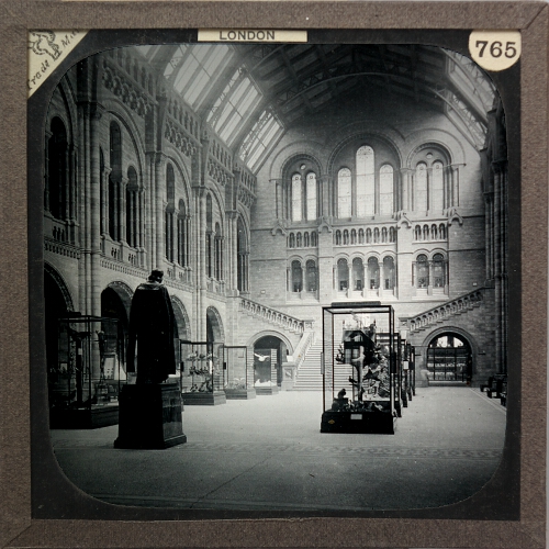 Natural History Museum, the Hall