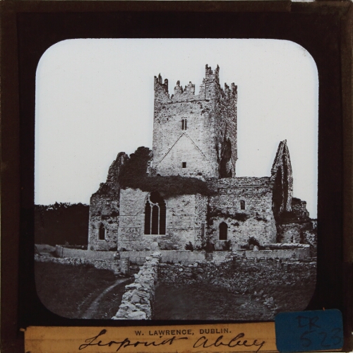 Jerpoint Abbey, Co. Kilkenny – secondary view of slide