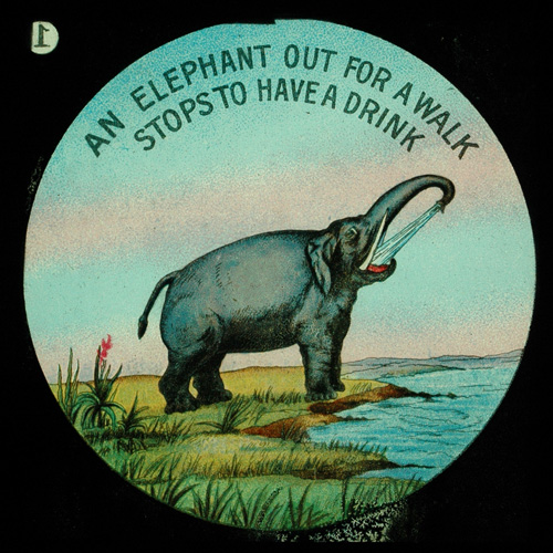 An elephant out for a walk stops to have a drink– primary version