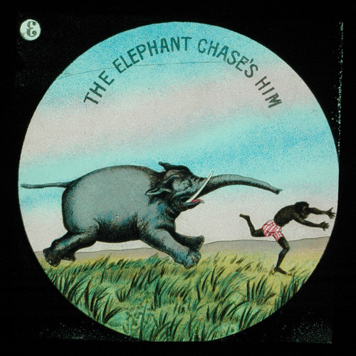 The elephant chase's him– primary version