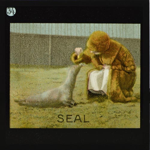 The Seal