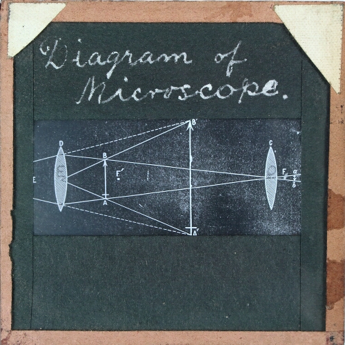 Diagram of Microscope