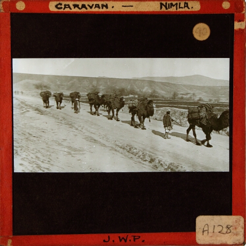 Caravan -- Nimla