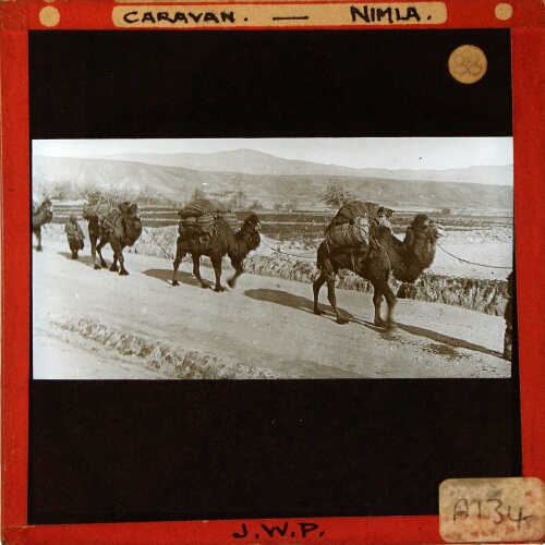 Caravan -- Nimla