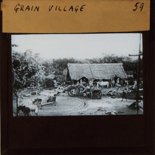 Grain Village