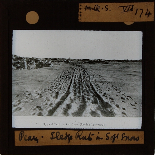 Peary -- Sledge Ruts in Soft Snow