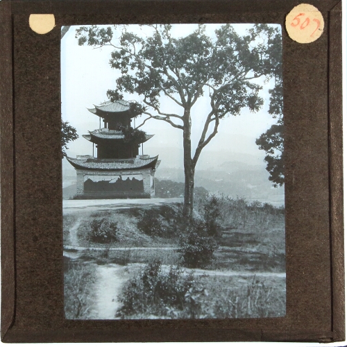 View of pagoda and tree