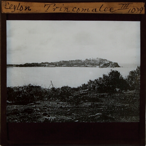 Ceylon. Trincomalee