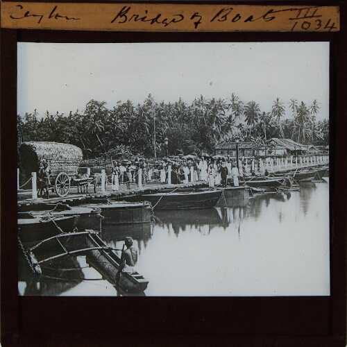 Ceylon. Bridge of Boats