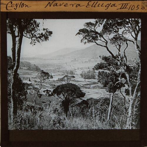 Ceylon. Navera Elluga