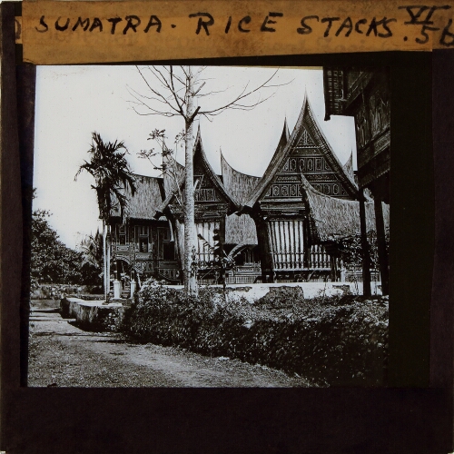Sumatra. Rice Stacks