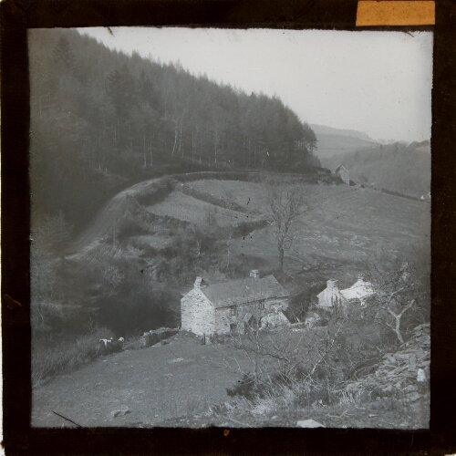 Cottages in valley with woodland