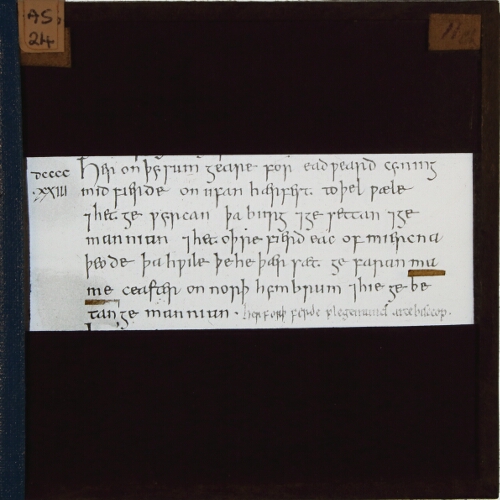 Saxon Chronicle