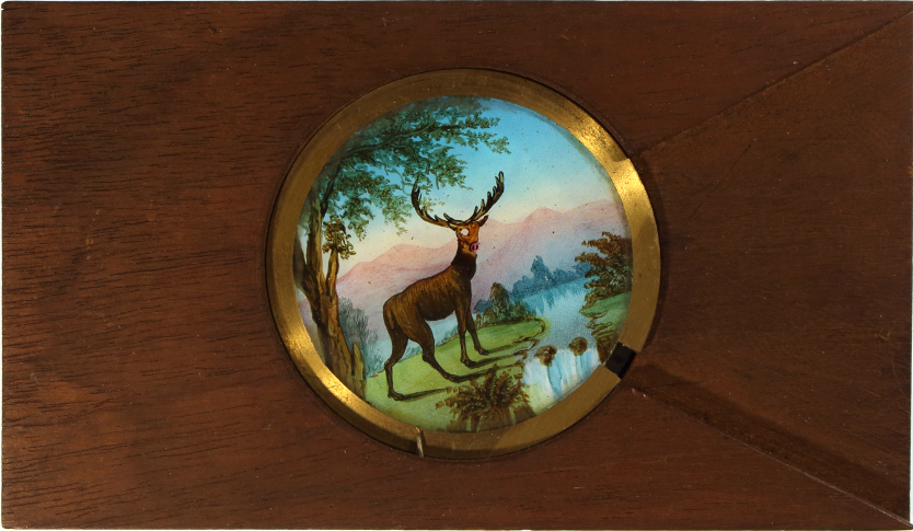 Stag raising and lowering head – secondary view of slide