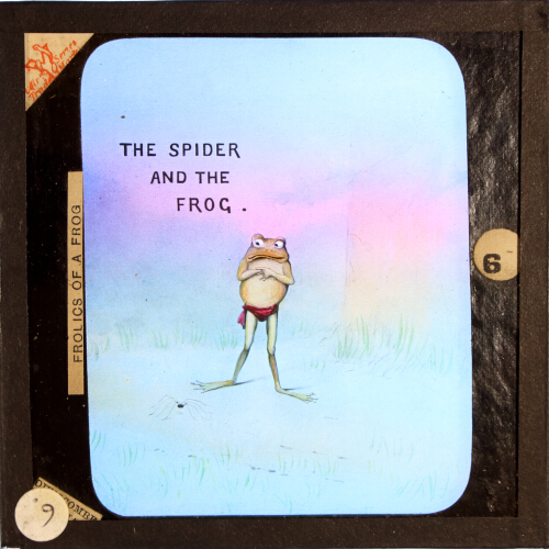 The spider and the frog