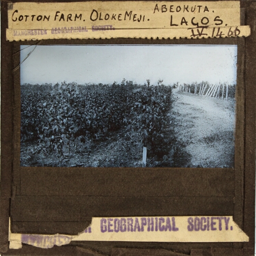 Cotton Farm, OlokeMeji, Abeokuta, Lagos