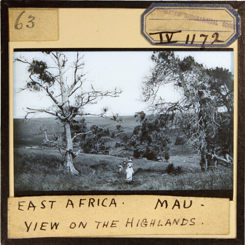 East Africa, Mau -- View on the Highlands