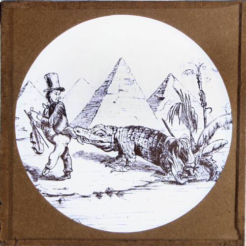 The fiddler's coat tail grabbed by a crocodile