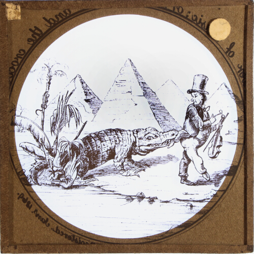 The fiddler's coat tail grabbed by a crocodile – secondary view of slide