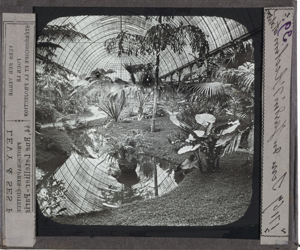 Serre du Jardin d'Acclimatation – secondary view of slide