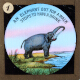 An elephant out for a walk stops to have a drink – alternative version ‘b’