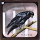 The Raven – alternative version ‘b’