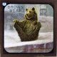 The Brown Bear – alternative version ‘b’