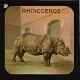 The Indian Rhinoceros