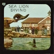 The Sea-Lion