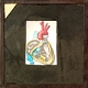 [Diagram of heart]