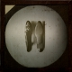 [Photograph of pair of woman's shoes]