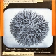 Plate XXIII. Mushroom Corals, Fungia Crassitentaculata, Expanded