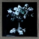 Colour photograph of flowers in vase – Original slide image