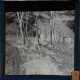 Group of men among trees with trench in foreground – Original slide image