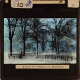 [Gateway and trees in rural landscape in snow]