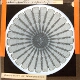 Urchin, Section of spine 7
