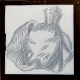 [Engraving of unidentified animal]