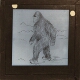 [Sketch of unidentified ape-like animal]