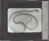 Serpent – Rear view of slide