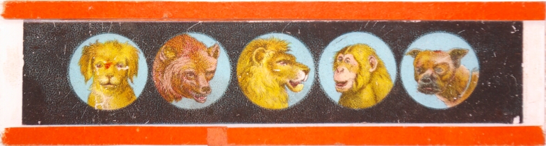 Five animal heads