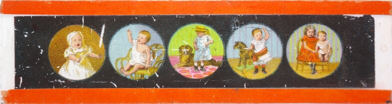Five views of babies and animals
