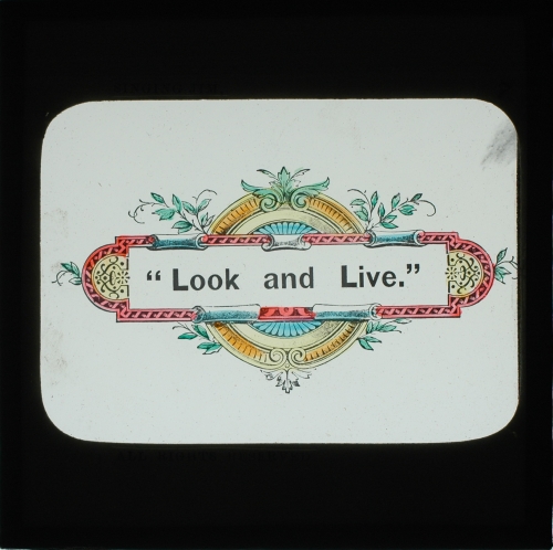 Motto -- look and live