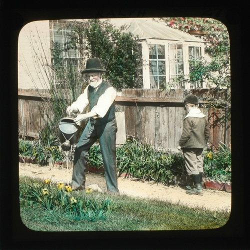 An old man stood in the garden path