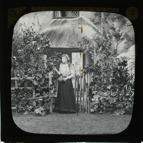 Nelly Wray, the Village Queen