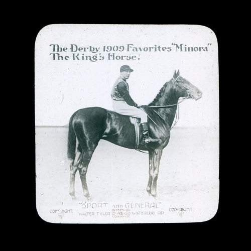The Derby 1909 Favorites 'Minora', The King's Horse