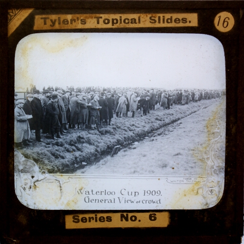 Waterloo Cup 1909. General View of crowd
