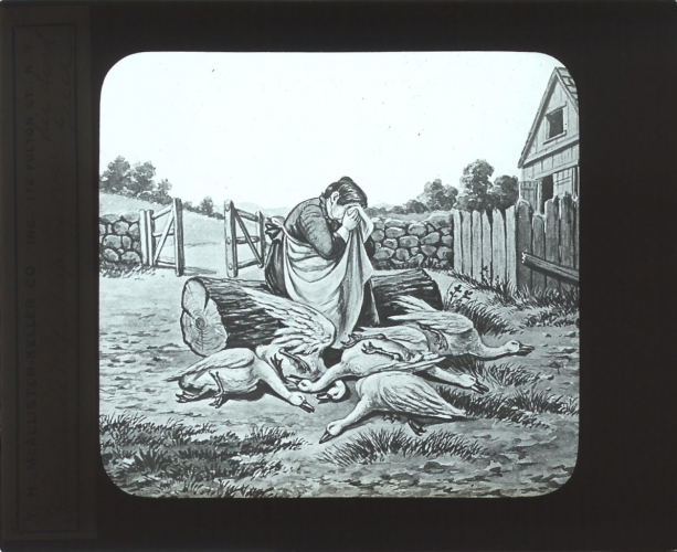 Farmer’s wife weeping over her dead geese