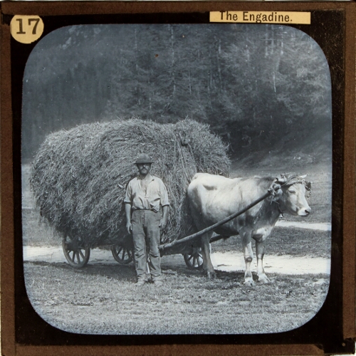 An Ox Load of Hay