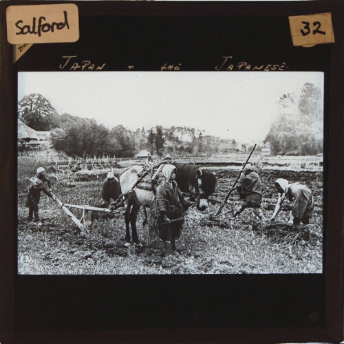 Ploughing and Harvesting