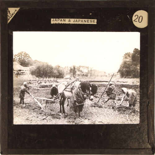 Ploughing and Harvesting